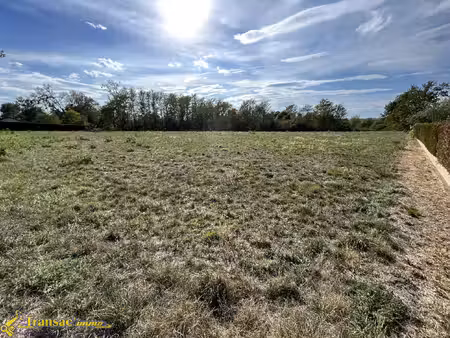 terrain 5000m2 dont 1750m2 en zone constructible