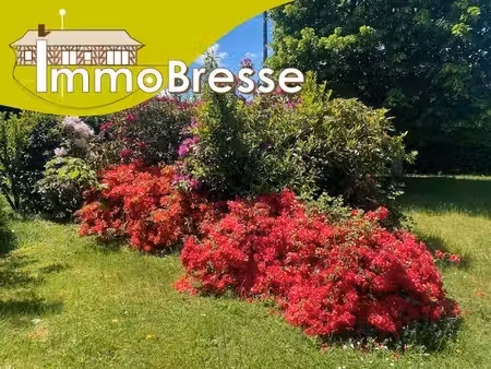 saint denis les bourg - a vendre - terrain 800 m² - viabilisation en bordure