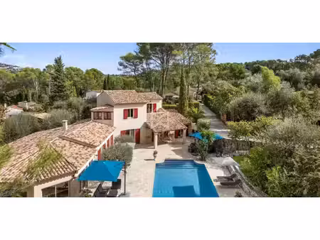 villa avec piscine peymeinade (06)