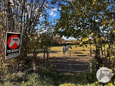 grond te koop in buggenhout