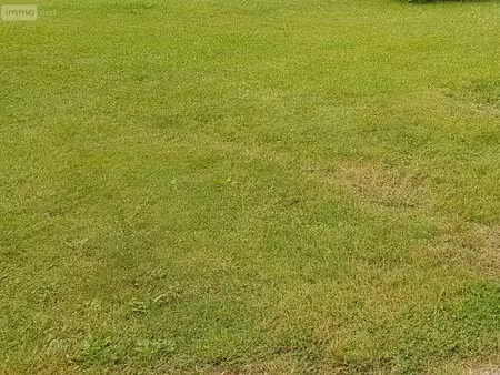 terrain constructible neuf à vendre
