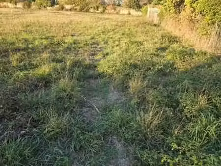 vente terrain piscine à aigrefeuille-sur-maine (44140) : à vendre piscine / aigrefeuille-s