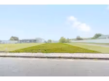 terrain