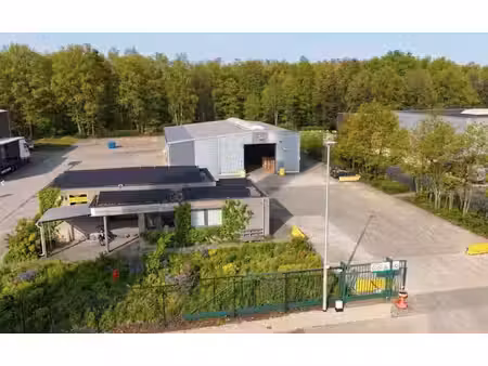 site polyvalent à vendre - ham tessenderlo