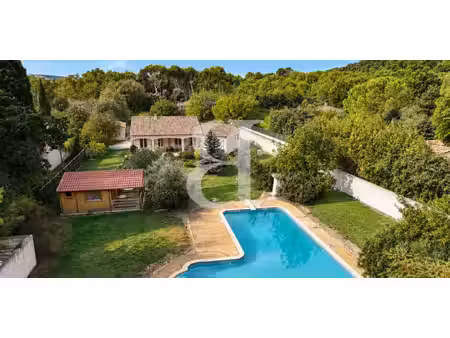 villa avec piscine et jardin cheval-blanc (84)