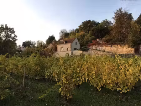maison au cœur des vignes