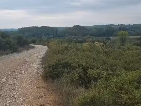 recherche terrain en location équin ânes