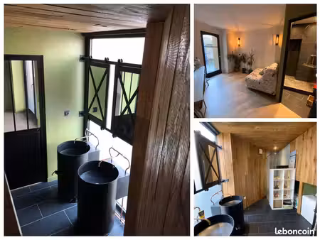 loft / atelier d'artiste très original t3 70m2 + terrasse