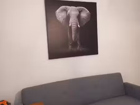 venelles studio vide