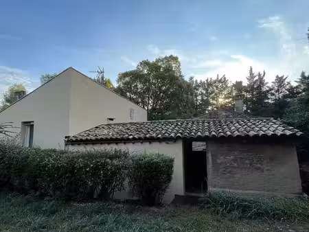colocation à louer