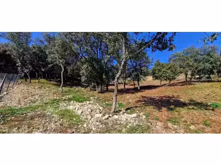 terrain constructible neuf à vendre
