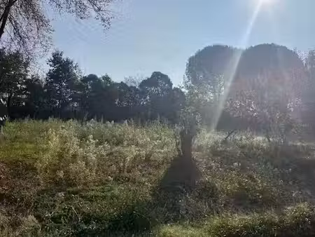 vente terrain 622 m² à albi (81000)  59 000 €