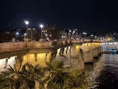 mini maison à pont neuf