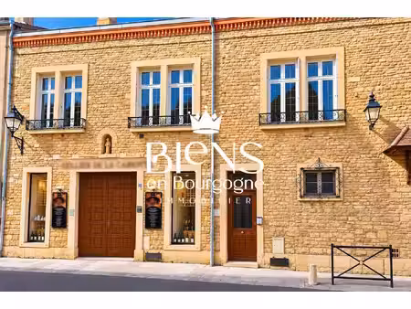 grand appartement avec garage et cellier en centre ville