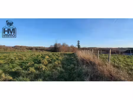 terrain contructible et taillis à jumilhac-le-grand