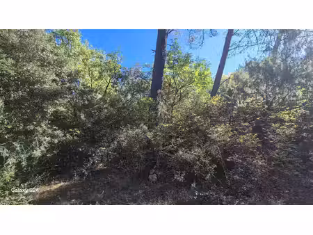 terrain boisé 7200 m²
