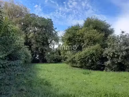 vente terrain 374 m² à geispolsheim (67118)  130 900 €