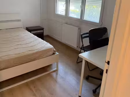 colocation à louer