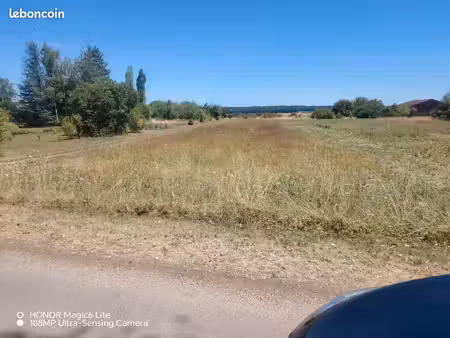 terrain pour pâturage