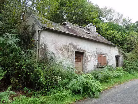 finistère. maison bretonne à rénover avec 8 367 m² de terrain