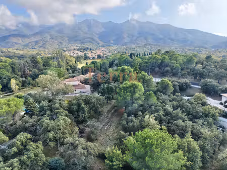 montesquieu-des-albères -- terrain plat arboré viabilisé  sup