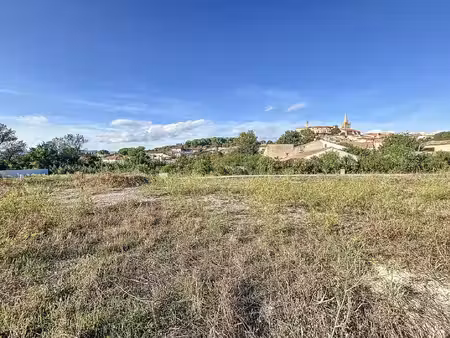 terrain