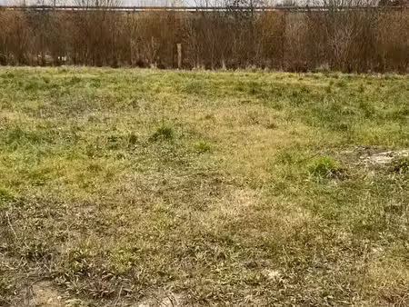 vente terrain 500 m² à condette (62360)  100 000 €