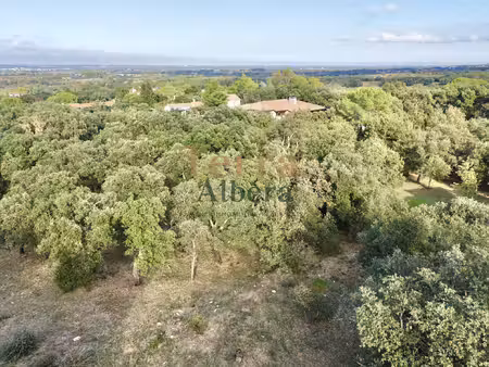 montesquieu des albères - beau terrain constructible