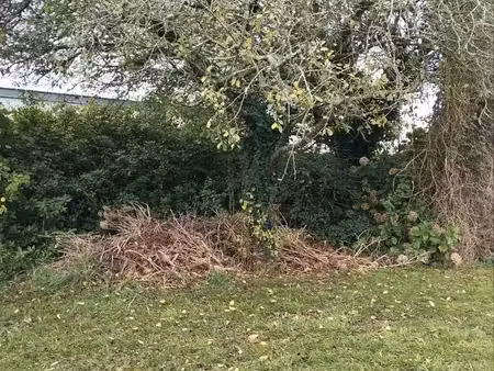 terrain constructible à lannion