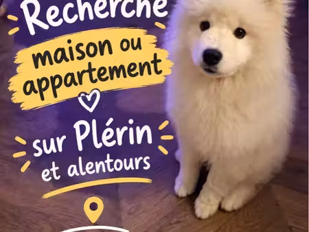 recherche maison ou appartement