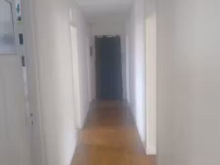 loue appartement t3