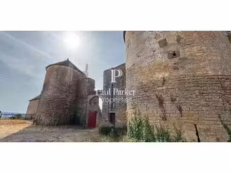 château saint-andré-le-désert (71)
