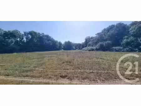 terrain à vendre - 6305 m2 - argeles sur mer - 66 - languedoc-roussillon