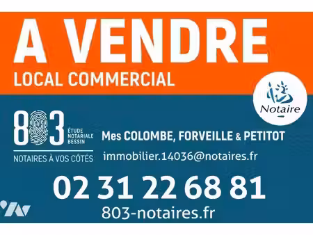 local commercial à vendre