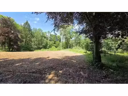 saint-hubert : terrain  23a 87ca  traversé par un ruisseau.