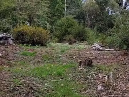 terrain 1 500 m² chancelade