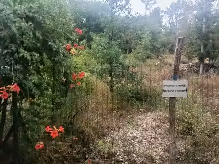 terrain d'agrément