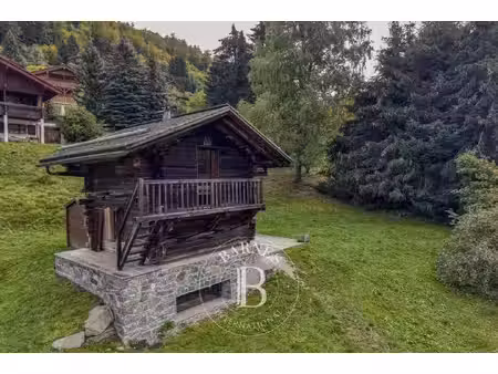 chalet à vendre