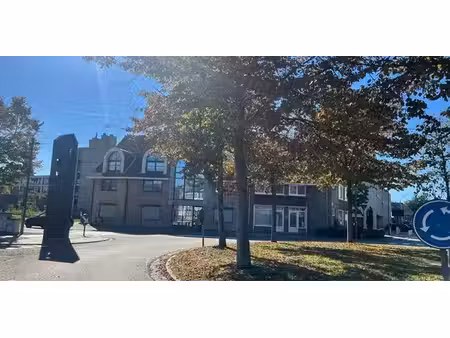 penthouse à louer à neerpelt pour € 1.500 avec 2 chambres à coucher