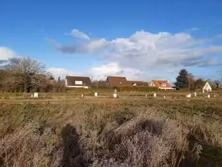 vente terrain à cesny-aux-vignes (14270) : à vendre / 693m² cesny-aux-vignes