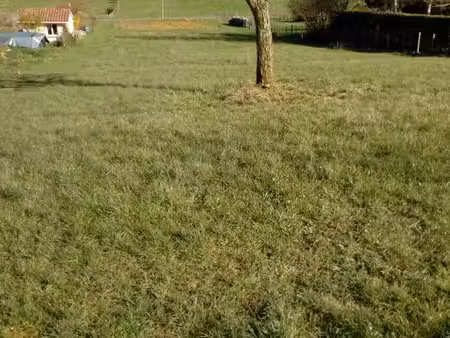 terrain à vendre