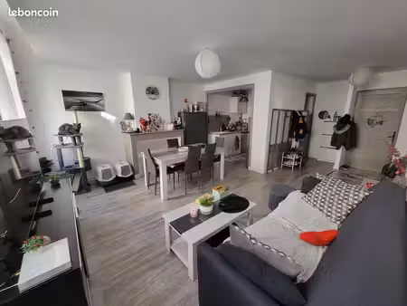 appartement t2  51 m²  spacieux  lumineux