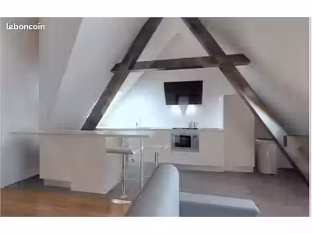 grand 2 pièces 50 m2 tours centre