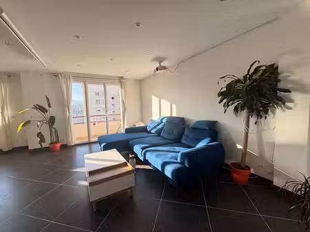 appartement grenoble 3 pièces