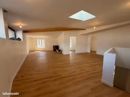 jolie maison de village en pierre avec local commercial