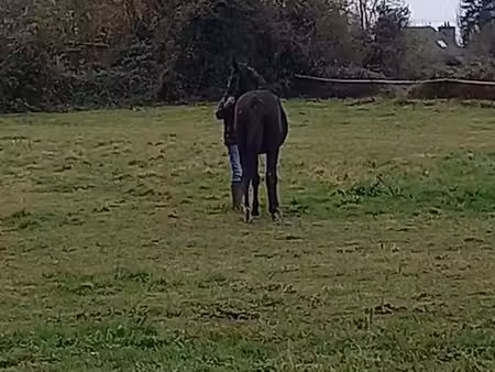 recherche terre agricole