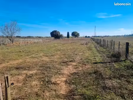 terrain agricole