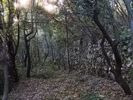 terrain de loisirs en cévennes