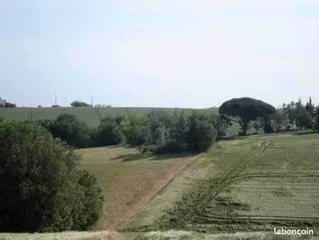 terrain agricole