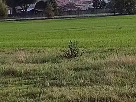 terrain constructible